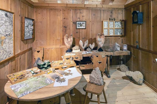 museo paleontologico rinaldo zardini